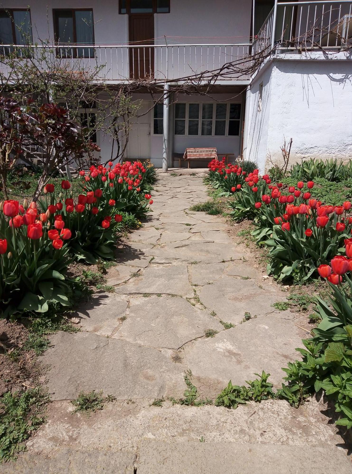 Aspet B&B Tatev Extérieur photo