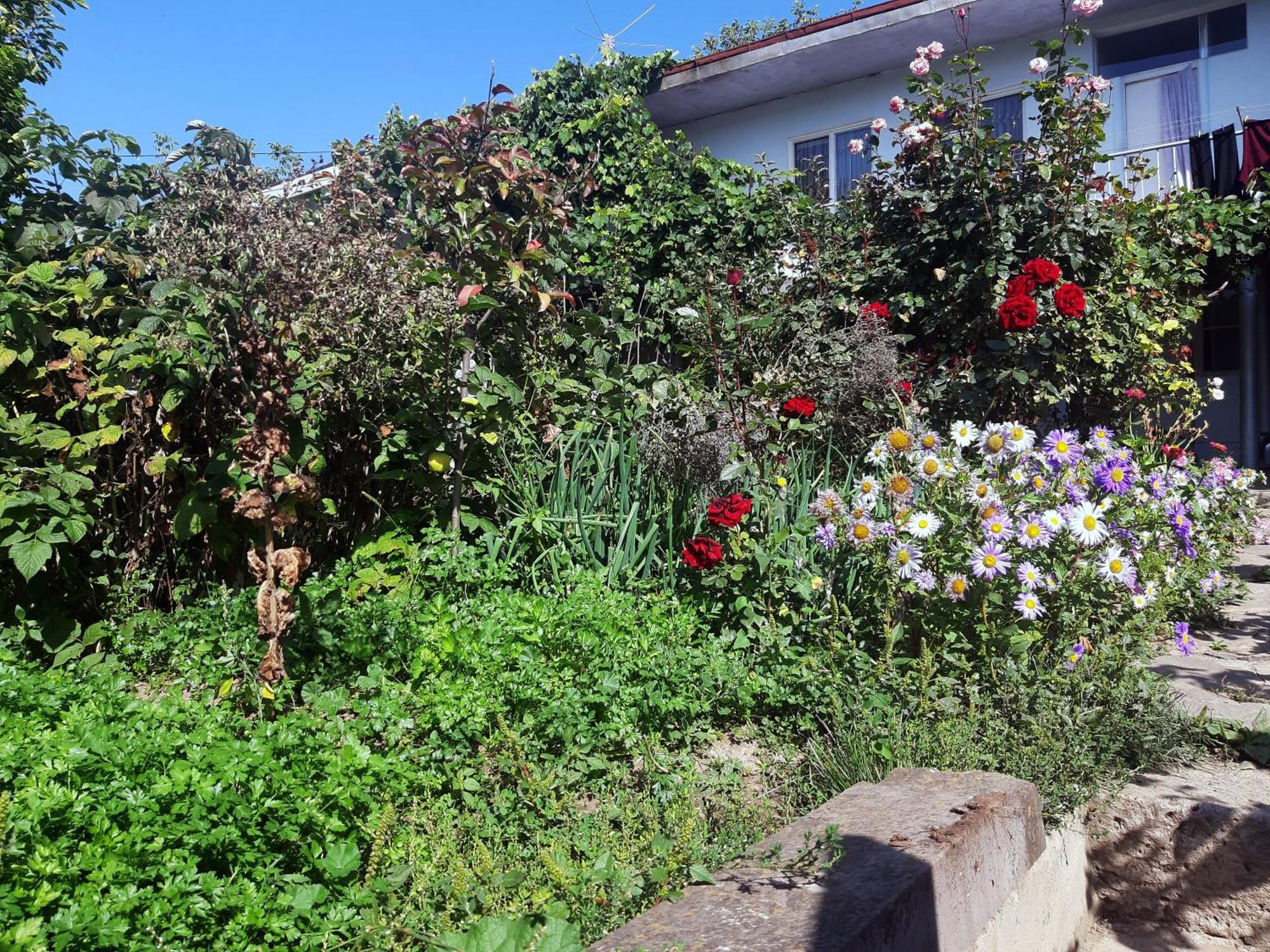Aspet B&B Tatev Extérieur photo