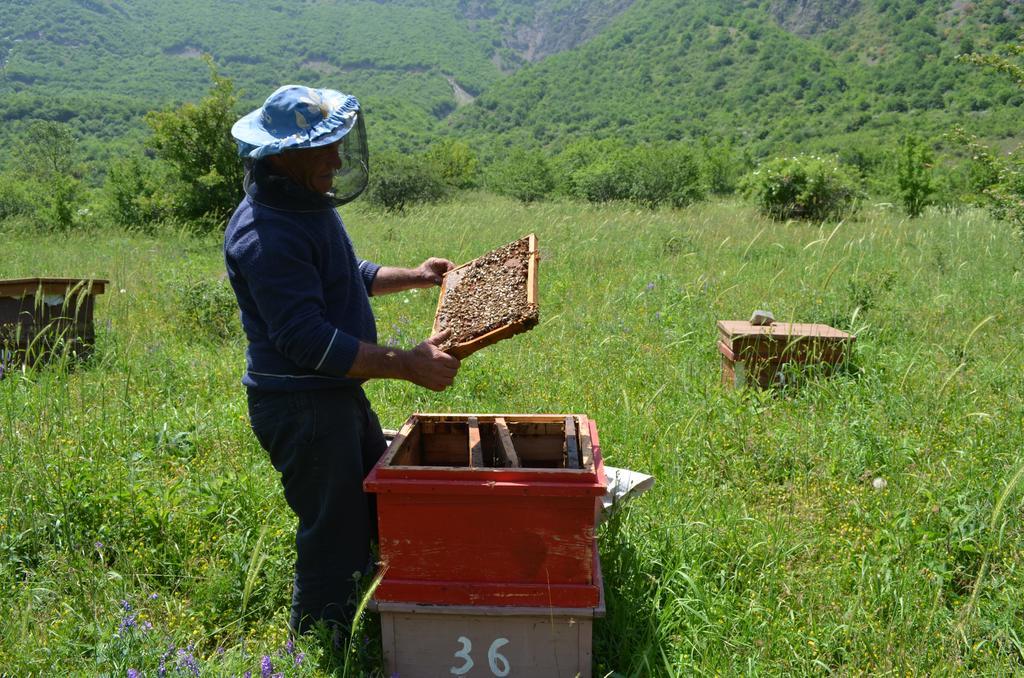 Aspet B&B Tatev Extérieur photo